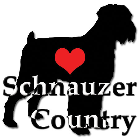 schnauzer schnoodle alberta logo